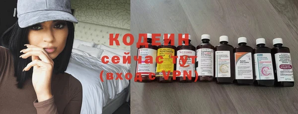 эйфоретик Осинники