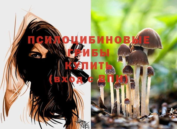эйфоретик Осинники