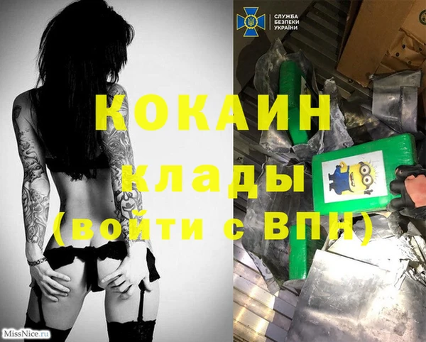 стаф Дегтярск
