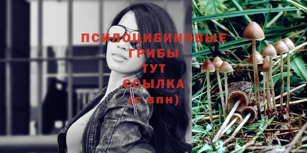 ПСИЛОЦИБИНОВЫЕ ГРИБЫ Осташков