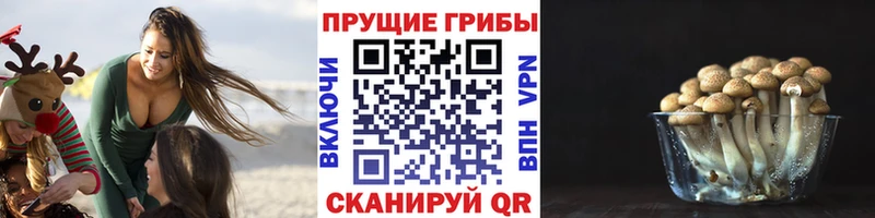 Галлюциногенные грибы Cubensis  как найти наркотики  гидра как войти  Усинск 