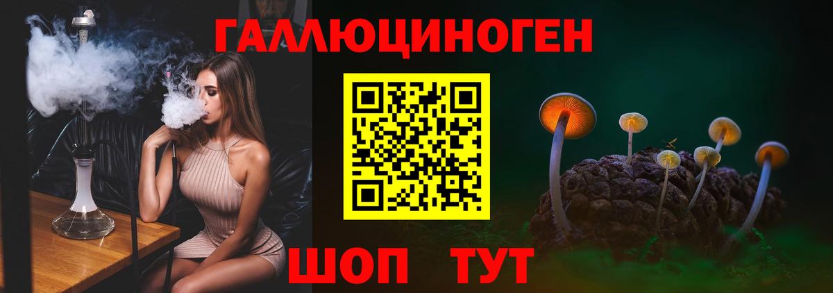 Галлюциногенные грибы Psilocybine cubensis Усинск